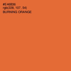 #E46B36 - Burning Orange Color Image